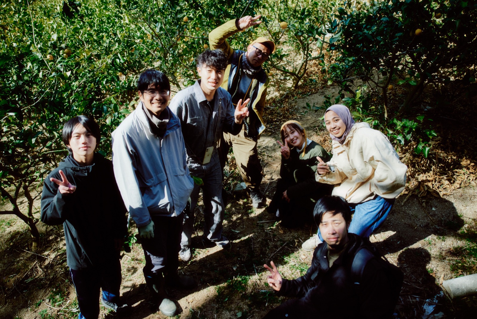 中島のレモン畑に集まった人と仲間